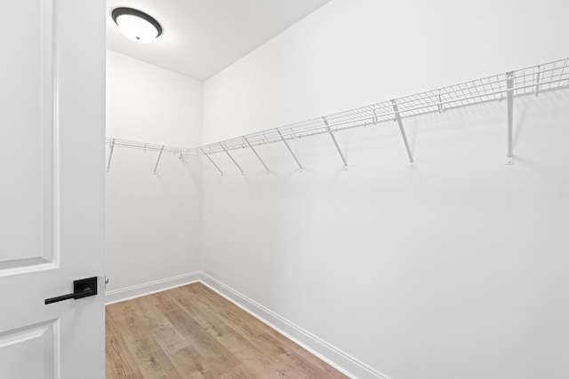 spacious closet with light wood-type flooring