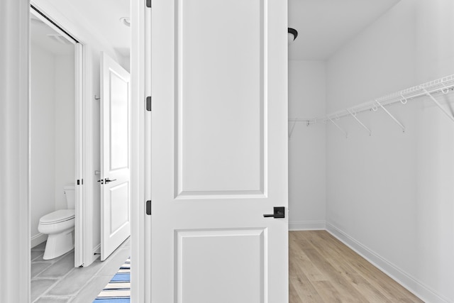 spacious closet featuring light wood-style floors