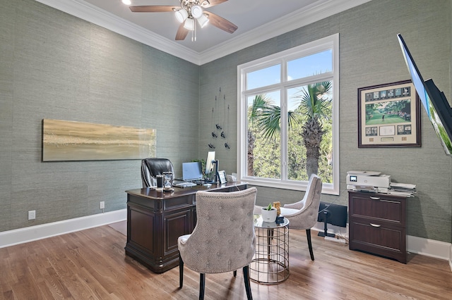 2940 Pine Valley Dr, Miramar Beach, FL 32550 - office featuring plenty of natural light, light wood-type flooring, and ceiling fan