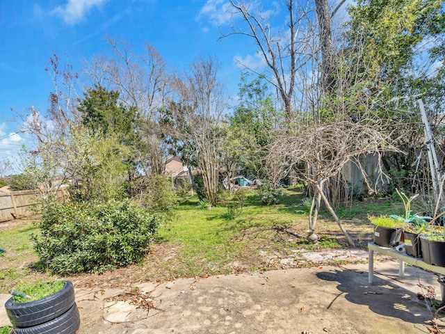 view of yard with a patio area and fence