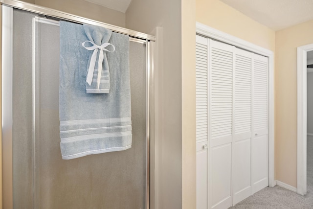 bathroom featuring a closet and a stall shower