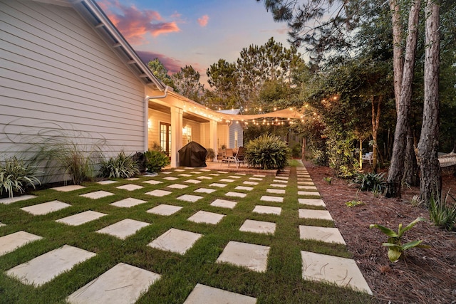 view of yard with a patio