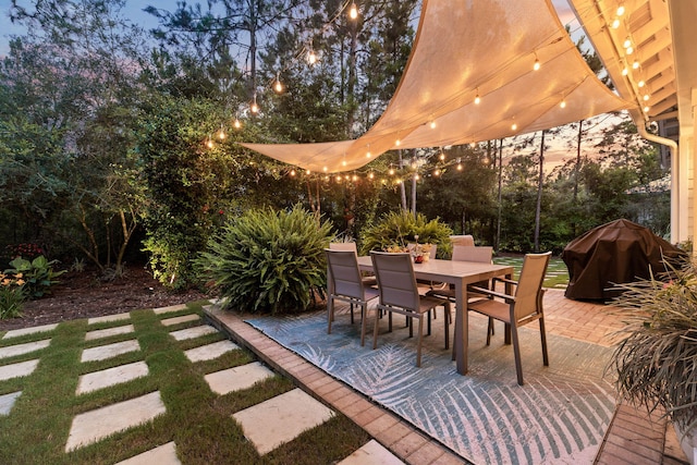 view of patio / terrace with outdoor dining area and grilling area