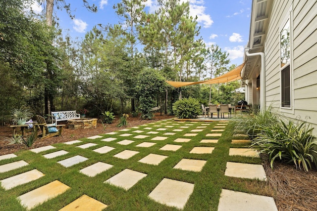 view of yard with a patio