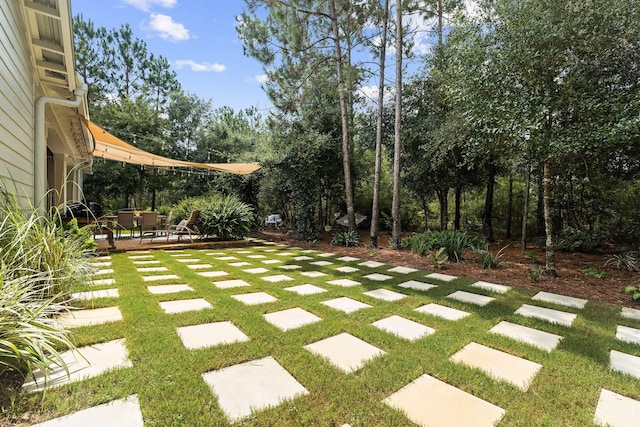 view of yard with a patio