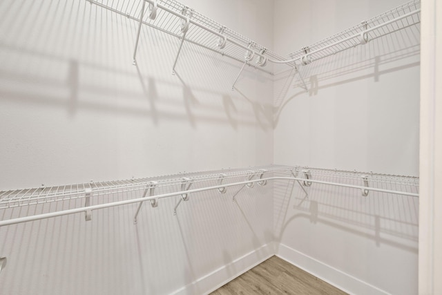 spacious closet featuring light wood finished floors