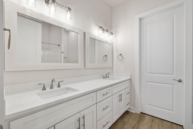 bathroom featuring wood finished floors and double vanity