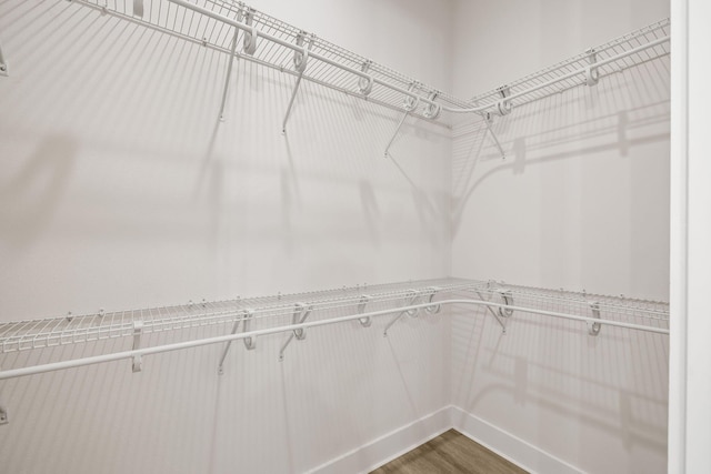walk in closet featuring wood finished floors