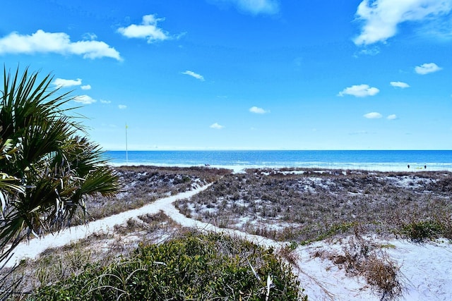 property view of water featuring a beach view