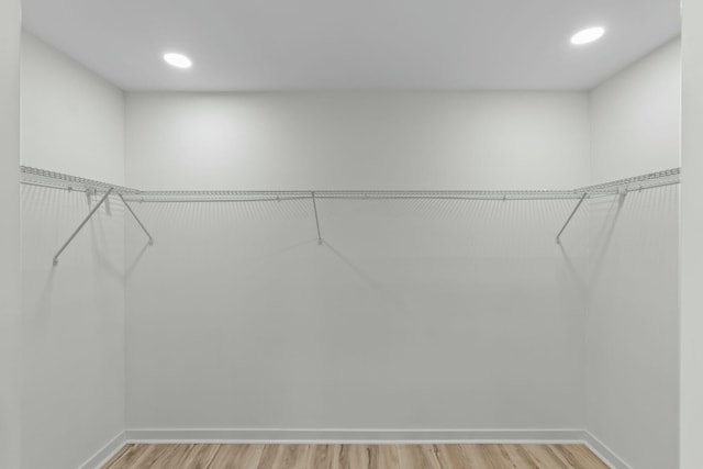 walk in closet with light wood-type flooring