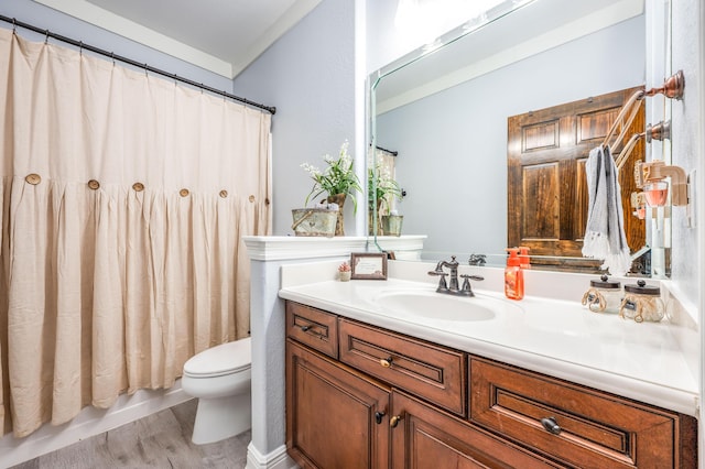 full bath featuring toilet, vanity, and wood finished floors