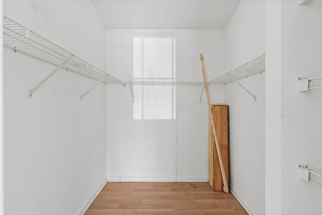 spacious closet featuring light wood-type flooring