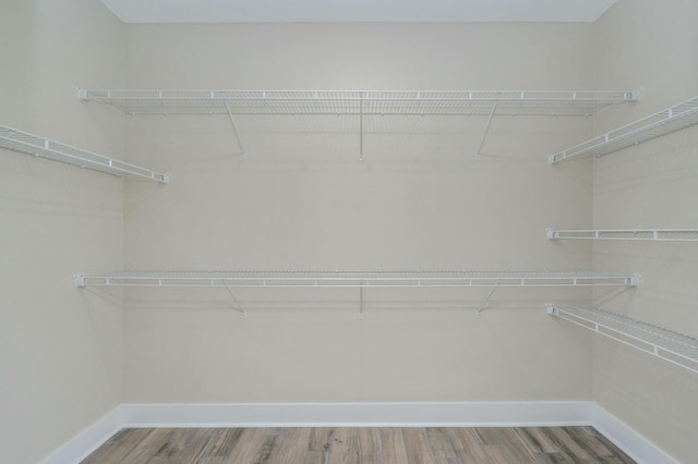 1517 Kais St, Baker, FL 32531 - walk in closet with wood finished floors