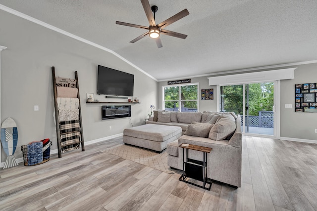 318 Peggy Dr, Crestview, FL 32536 - living room with ornamental molding, a textured ceiling, wood finished floors, lofted ceiling, and ceiling fan