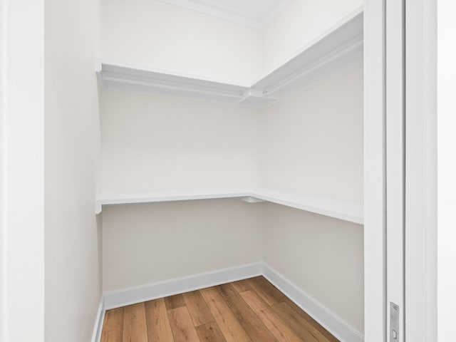 375 Morgans Trl, Santa Rosa Beach, FL 32459 - walk in closet featuring wood-type flooring