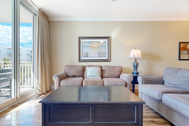 living area featuring wood finished floors and ornamental molding