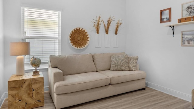 33 Spoonbill Rd, Santa Rosa Beach, FL 32459 - living room featuring baseboards and light wood finished floors