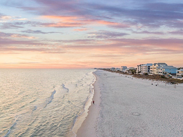 water view featuring a beach view