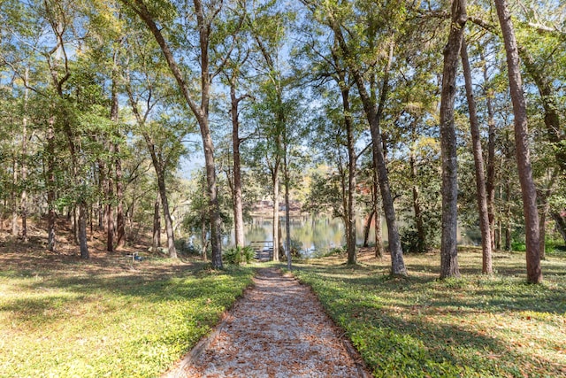 446 Marion Dr, Niceville, FL 32578 - view of front facade with a front yard and a water view