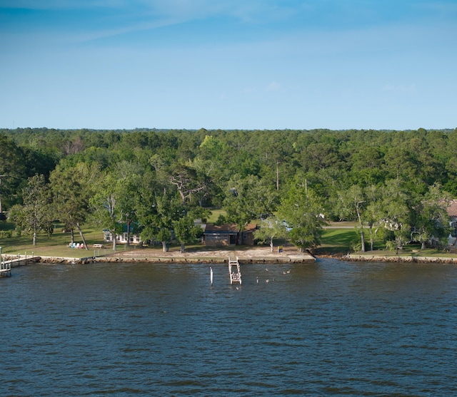 2894 Bay Grove Rd, Freeport, FL 32439 - water view featuring a forest
