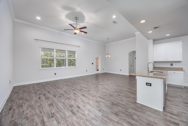 367 Brighton Cv, Freeport, FL 32439 - kitchen with open floor plan, visible vents, ceiling fan, and a sink