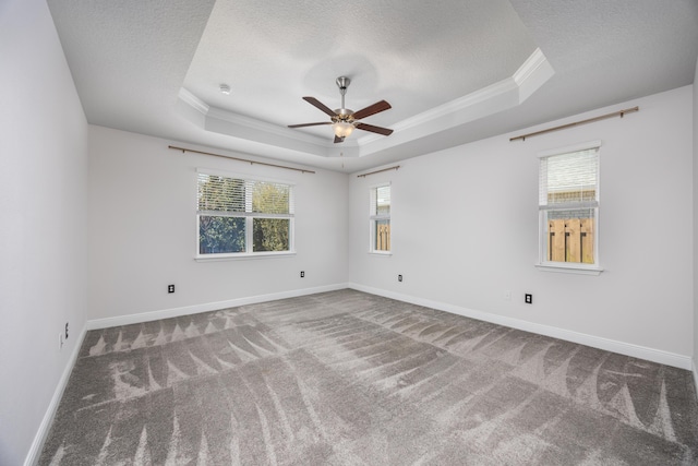 367 Brighton Cv, Freeport, FL 32439 - carpeted spare room with a tray ceiling, plenty of natural light, ceiling fan, and a textured ceiling