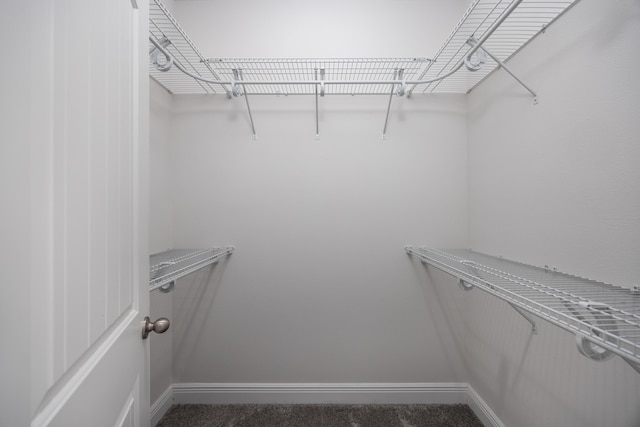 367 Brighton Cv, Freeport, FL 32439 - spacious closet with carpet