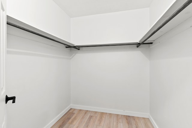 walk in closet featuring light wood-style floors