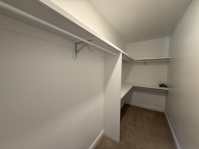 walk in closet with carpet