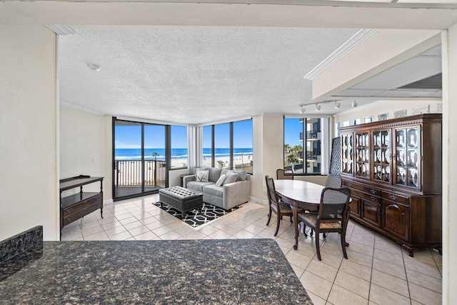 9850 S Thomas Dr Unit 205W, Panama City Beach, FL 32408 - living room featuring rail lighting, crown molding, light tile patterned floors, and a textured ceiling