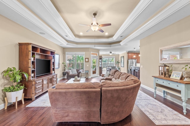 living area featuring dark wood-style floors, ceiling fan, a raised ceiling, crown molding, and baseboards