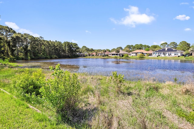 property view of water