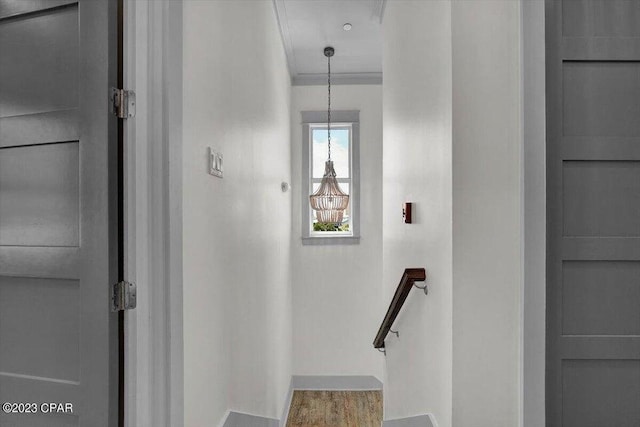 8320 Surf Dr, Panama City Beach, FL 32408 - staircase featuring ornamental molding