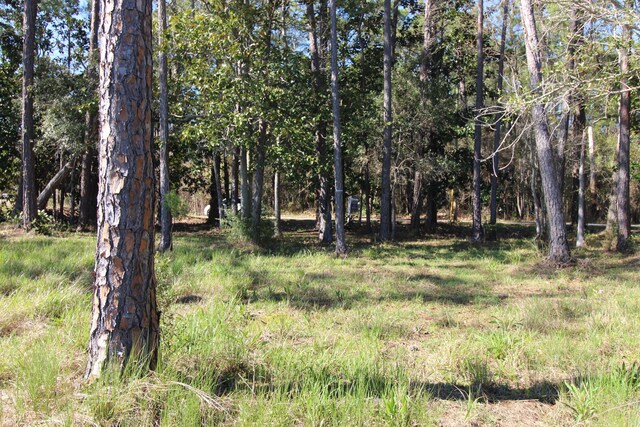 LOT6 Alden Ln, Freeport, FL 32439