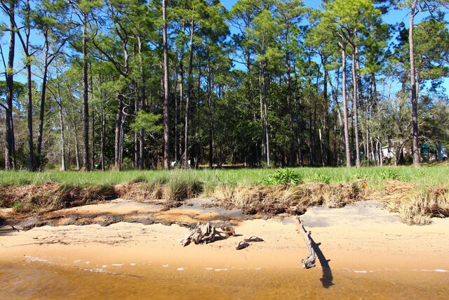 LOT6 Alden Ln, Freeport, FL 32439