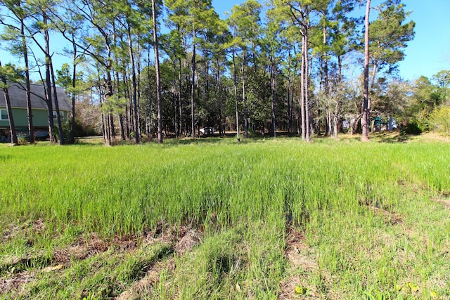 LOT6 Alden Ln, Freeport, FL 32439