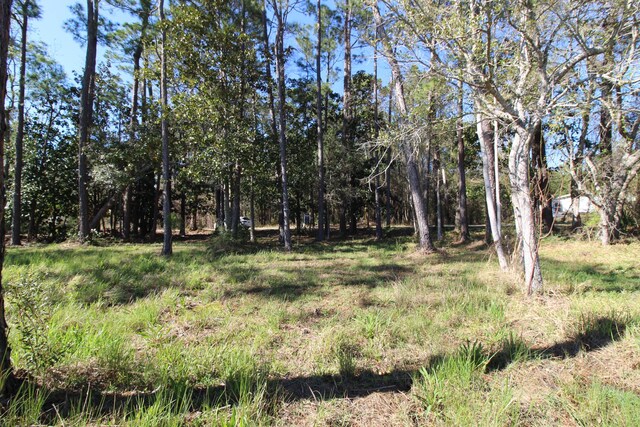 LOT6 Alden Ln, Freeport, FL 32439