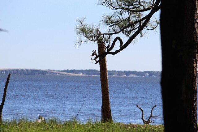 LOT6 Alden Ln, Freeport, FL 32439