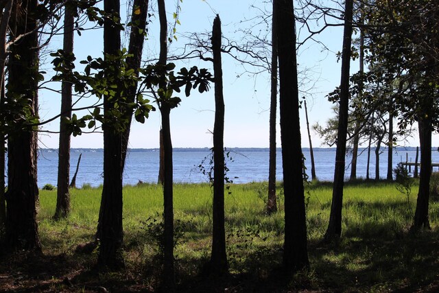 LOT6 Alden Ln, Freeport, FL 32439