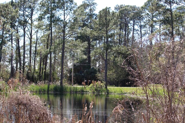 LOT6 Alden Ln, Freeport, FL 32439