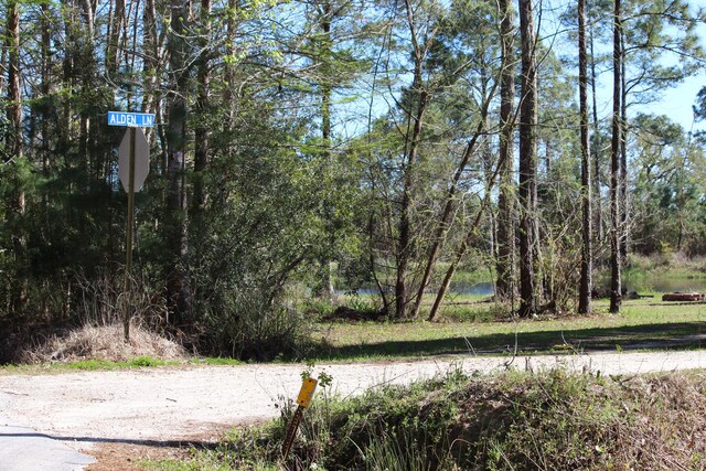 LOT6 Alden Ln, Freeport, FL 32439