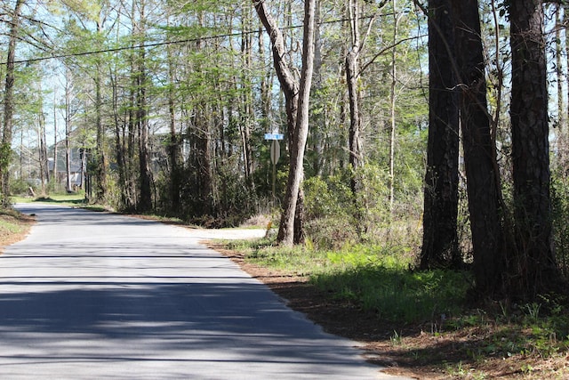 LOT6 Alden Ln, Freeport, FL 32439