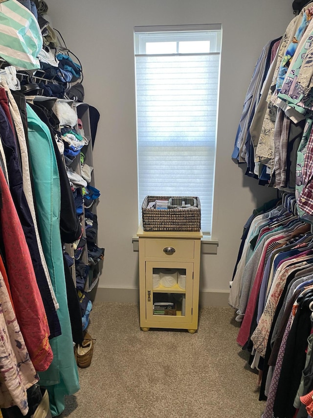 3784 Redbud Way, Panama City, FL 32404 - spacious closet with carpet floors