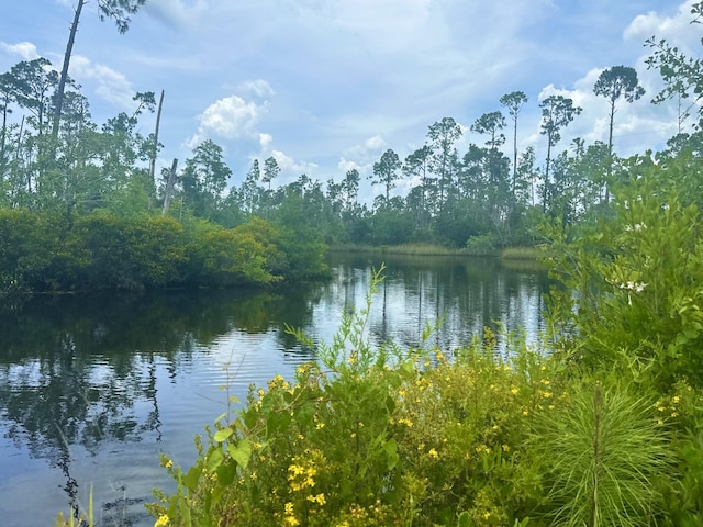 324 Pleasant Rest Rd, Wewahitchka, FL 32465 - photo 4