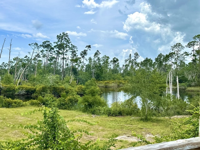 324 Pleasant Rest Rd, Wewahitchka, FL 32465 - photo 21