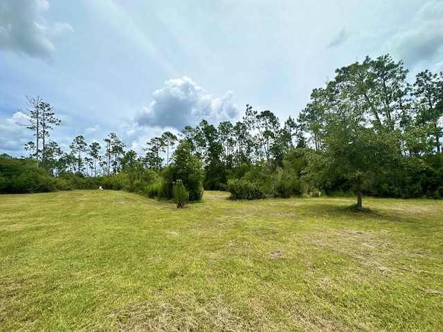 324 Pleasant Rest Rd, Wewahitchka, FL 32465 - photo 26