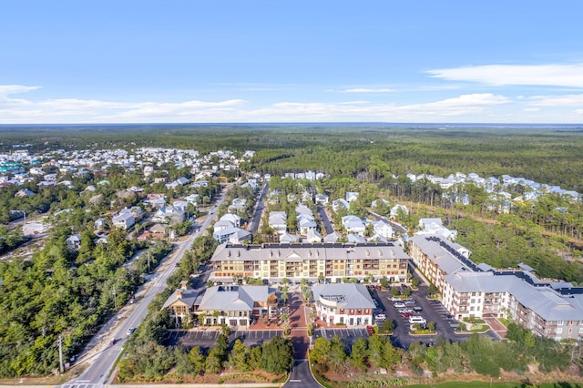 drone / aerial view