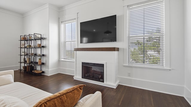 294 Gulfview Cir, Santa Rosa Beach, FL 32459 - living room featuring a glass covered fireplace, baseboards, wood finished floors, and crown molding