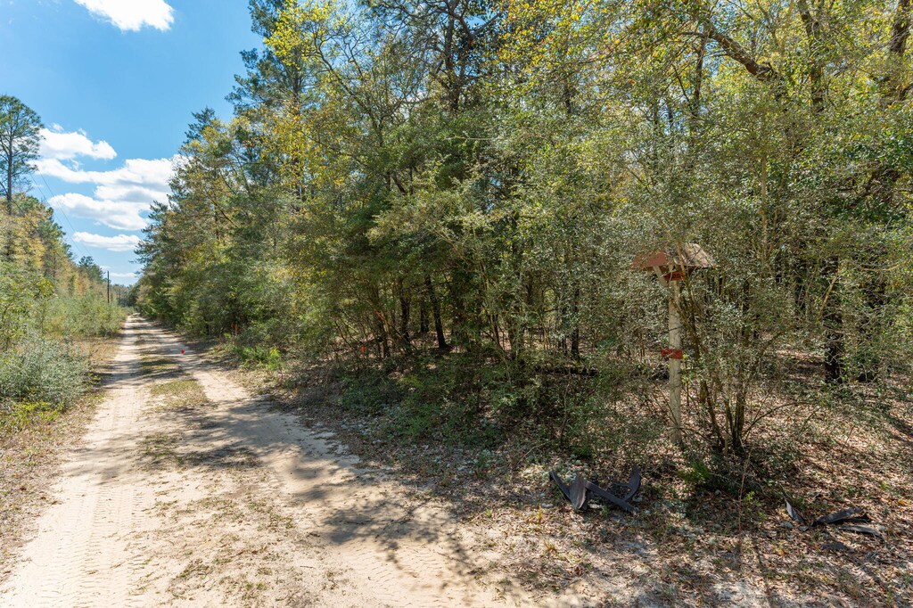 TBD Wildwood Lakes Dr, Defuniak Springs, FL 32435 - photo 2