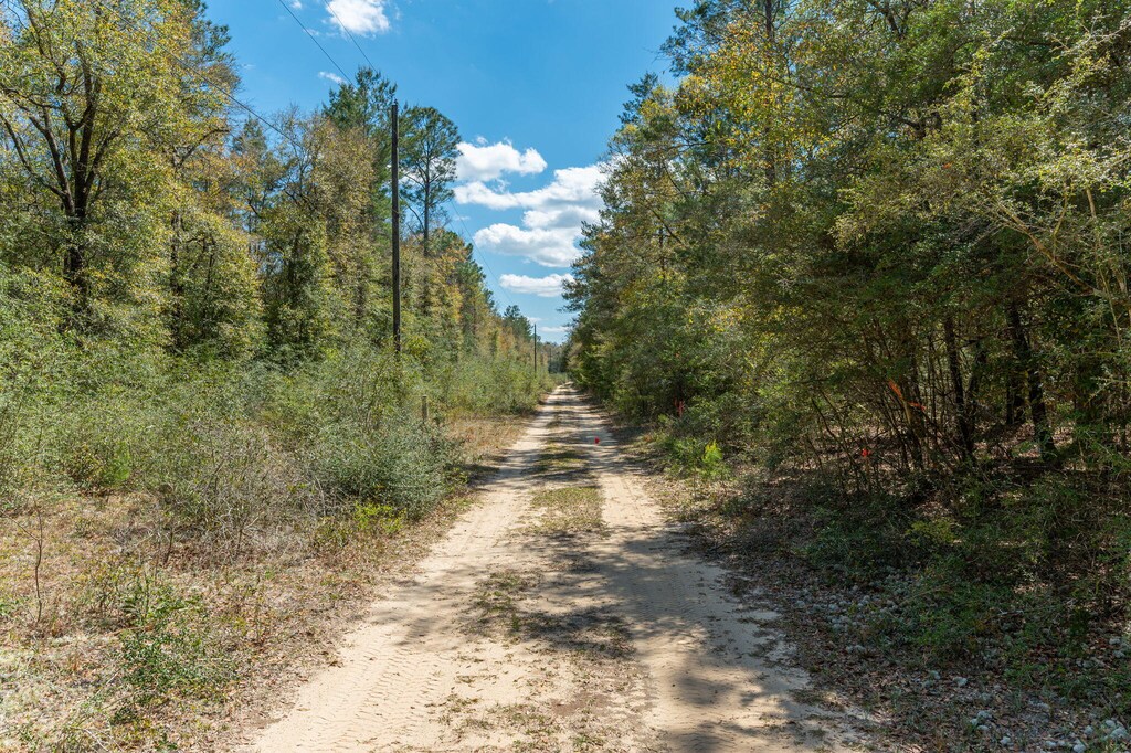 TBD Wildwood Lakes Dr, Defuniak Springs, FL 32435 - photo 1